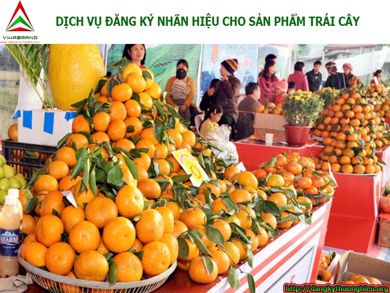 đăng-ký-bảo-hộ-nhãn-hiệu-cho-sản-phẩm-hoa-qua-trái-cây-tai-tphcm