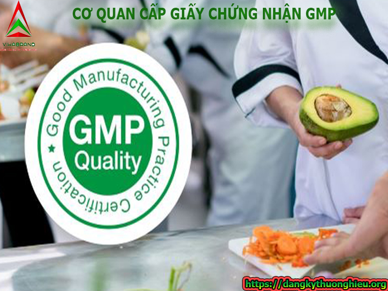 co-quan-cap-giay-chung-nhan-gmp-tai-21-quan-huyen-tphcm