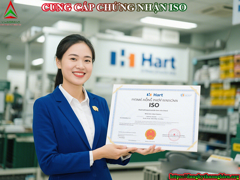 cung-cap-chung-chi-iso-tai-tp-thu-duc-2