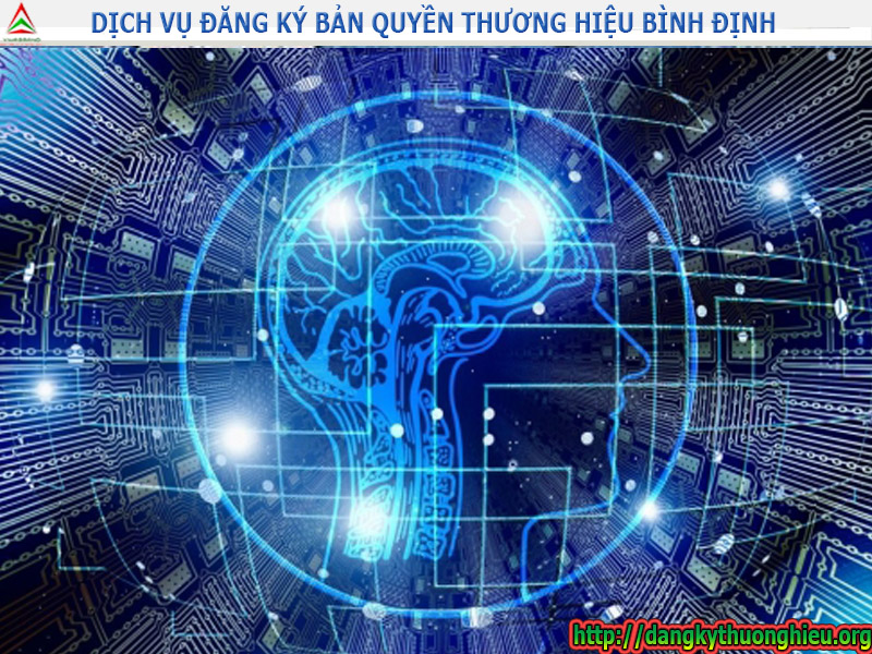 dang-ky-ban-quyen-thuong-hieu-tron-goi-gia-re-tai-binh-dinh