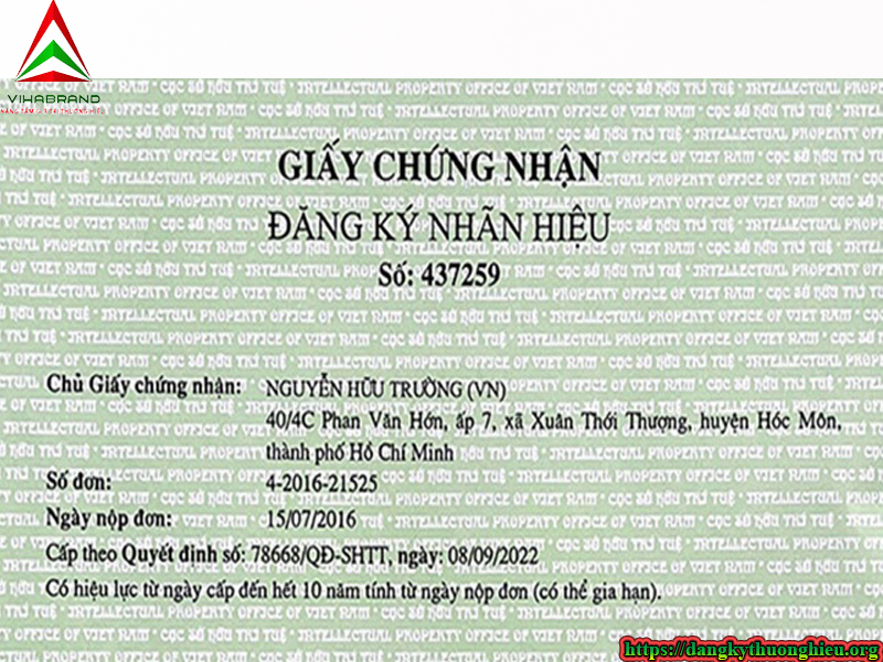 dang-ky-thuong-hieu-cac-phuong-an-lac-a-binh-tri-dong-b-tphcm
