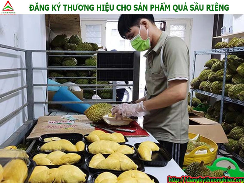 dang-ky-thuong-hieu-cho-san-pham-qua-sau-rieng-tai-tphcm