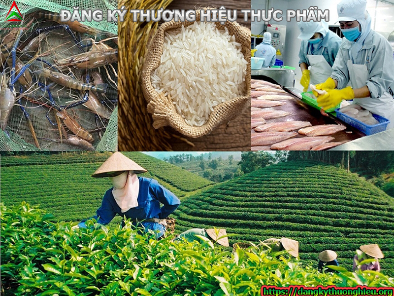 dang-ky-thuong-hieu-thuc-pham-cac-quan-huyen-tphcm