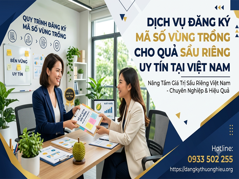 dich-vu-dang-ky-ma-so-vung-trong-cho-qua-sau-rieng-tai-viet-nam
