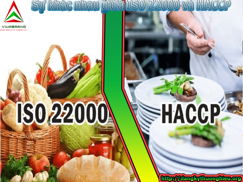 iso-22000-va-haccp-khac-nhau-nhu-the-nao