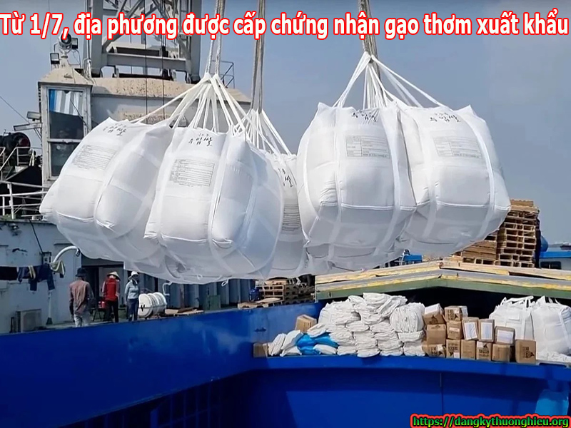 tu-1-7-dia-phuong-duoc-cap-chung-nhan-gao-thom-xuat-khau