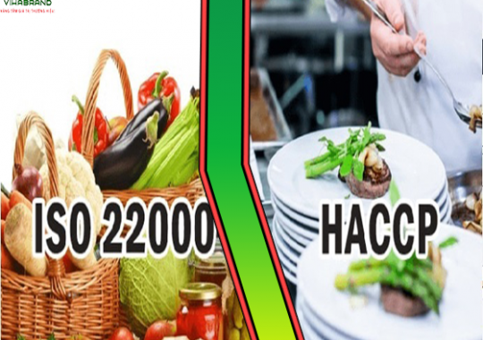 Iso 22000 và HACCP khác nhau như thế nào? 
