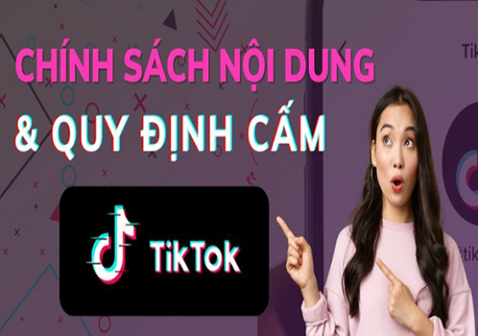 NỘI DUNG ĐỊNH HƯỚNG THƯƠNG HIỆU TIKTOK LÀ GÌ?