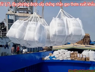 Từ 1/7, thẩm quyền cấp chứng nhận gạo thơm xuất khẩu sang EU và Vương quốc Anh được giao cho ĐP